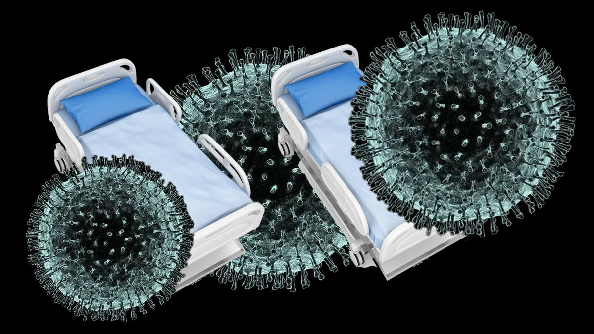 Nearly 1 million COVID19 deaths A look at the U.S. numbers Modern